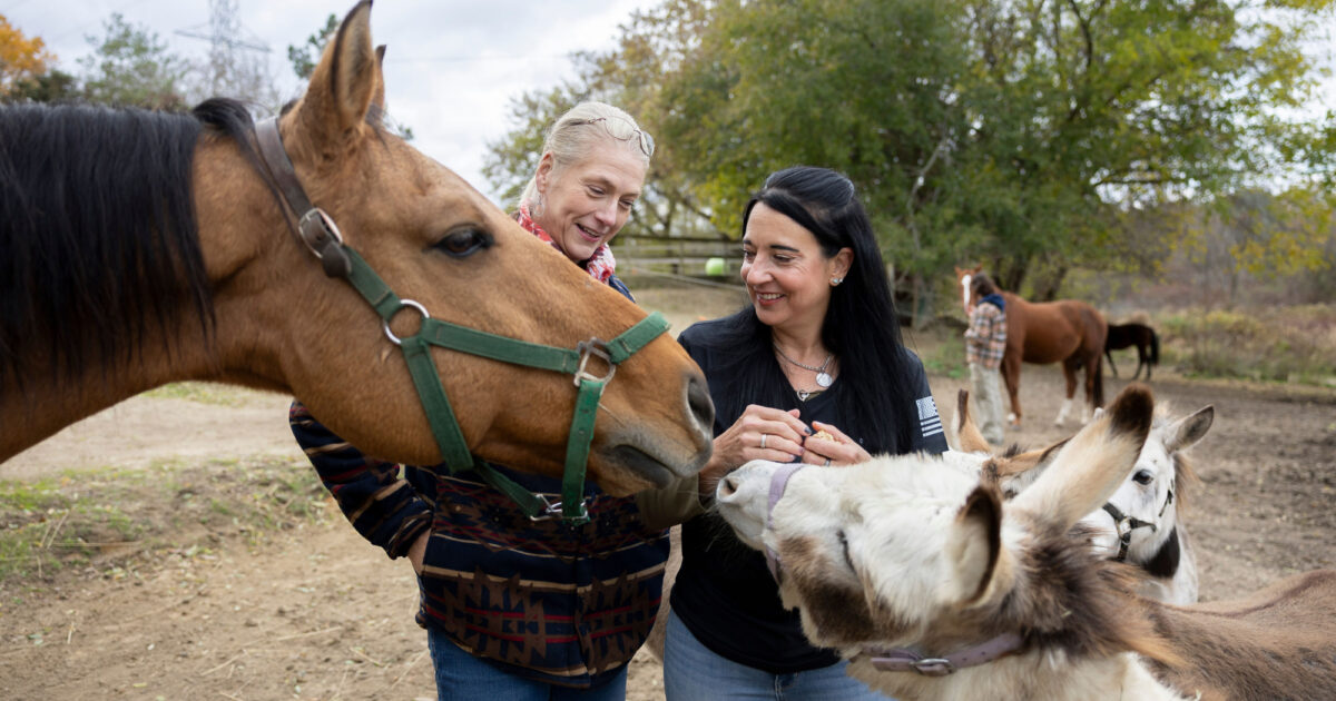 Community Foundation of Greater Flint | CFGF Staff Visit Equine…